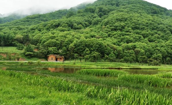 神农祭坛 神农祭坛