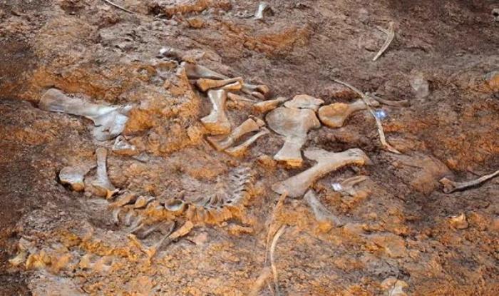 世界恐龙谷旅游区