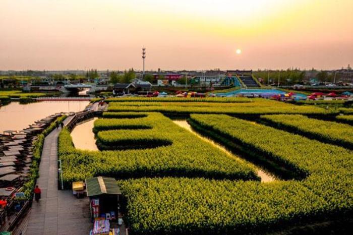 森禾现代花卉产业园 森禾现代花卉产业园