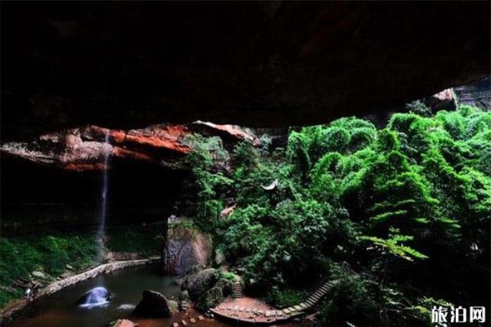 乐山沐川竹海 乐山沐川竹海