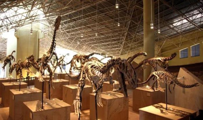 世界恐龙谷旅游区 世界恐龙谷旅游区