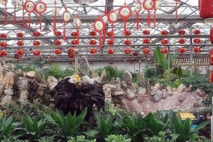 鸵鸟王生态园景区 鸵鸟王生态园景区