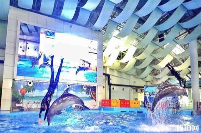 汉海极地海洋世界 汉海极地海洋世界