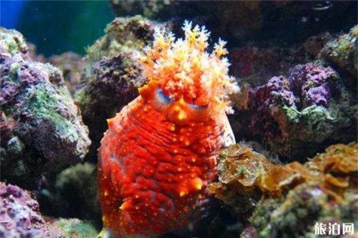 汉海极地海洋世界 汉海极地海洋世界