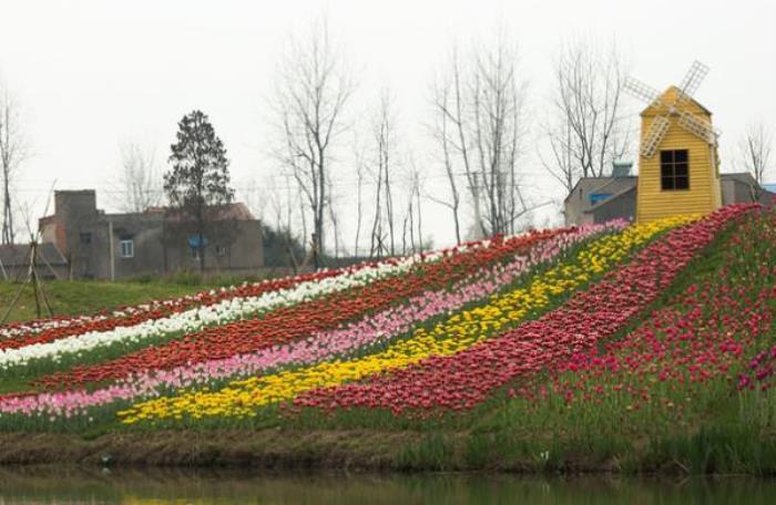 百万花海风景区 百万花海风景区
