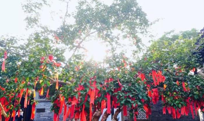 中山詹园 中山詹园