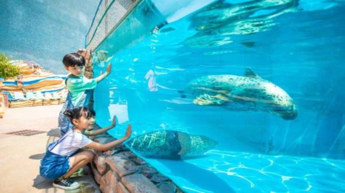 德州-泉城欧乐堡海洋极地世界 德州-泉城欧乐堡海洋极地世界