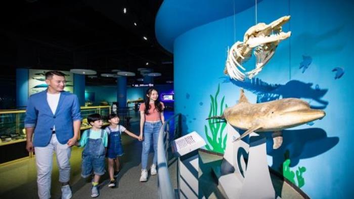 德州-泉城欧乐堡海洋极地世界 德州-泉城欧乐堡海洋极地世界