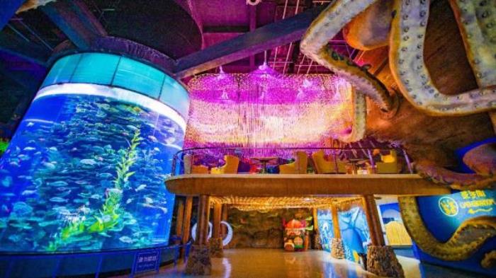 德州-泉城欧乐堡海洋极地世界 德州-泉城欧乐堡海洋极地世界