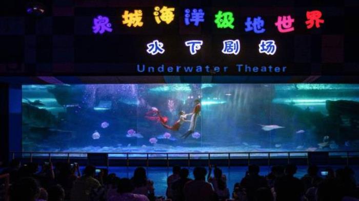 德州-泉城欧乐堡海洋极地世界 德州-泉城欧乐堡海洋极地世界