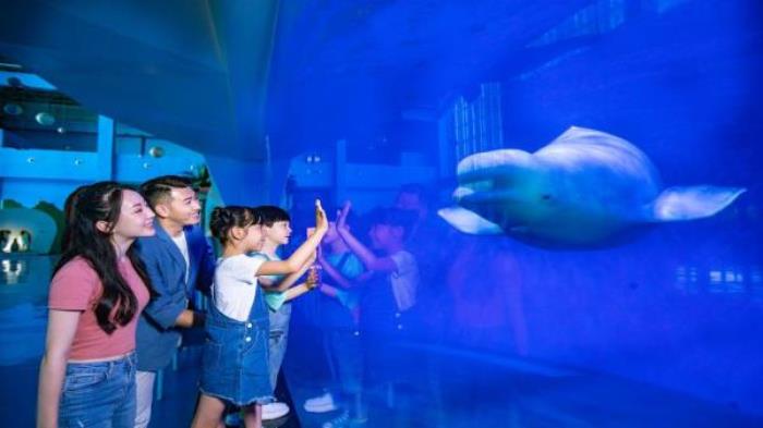 德州-泉城欧乐堡海洋极地世界 德州-泉城欧乐堡海洋极地世界