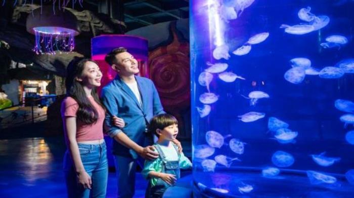 德州-泉城欧乐堡海洋极地世界 德州-泉城欧乐堡海洋极地世界