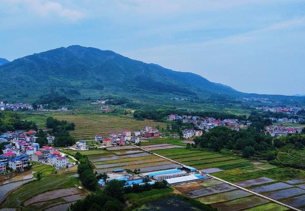 环线飞行(大冶龙凤山滑翔伞基地) 环线飞行(大冶龙凤山滑翔伞基地)
