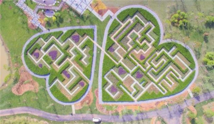 咸宁蜜月湾玫瑰园