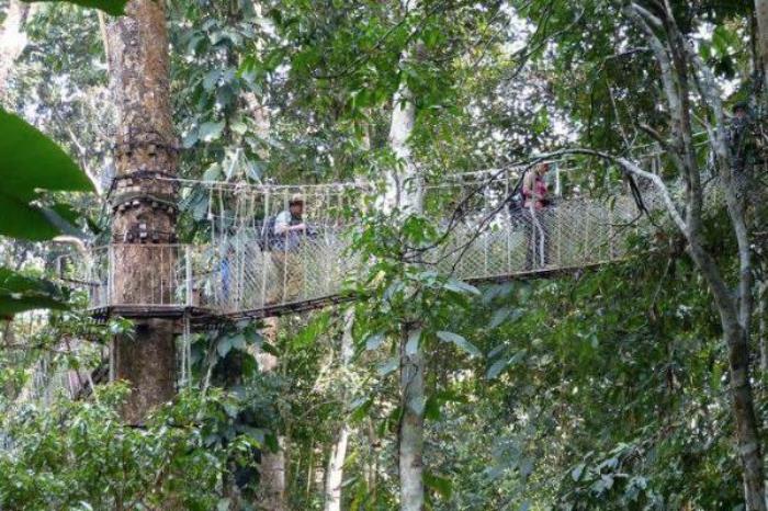 西双版纳雨林谷