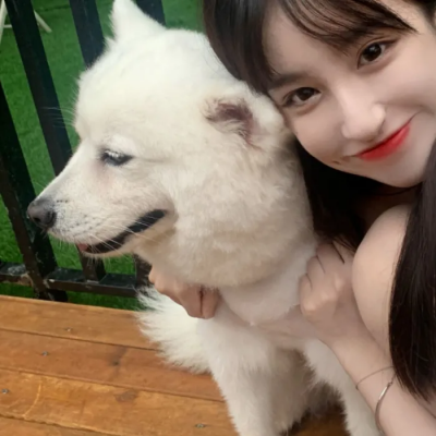 广州陪玩面点师止艺锦 广州陪玩面点师止艺锦