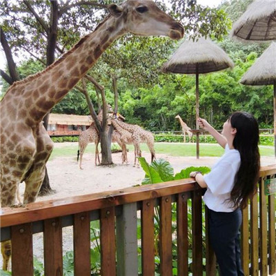 红河商务伴游舞蹈老师不慧心 红河商务伴游舞蹈老师不慧心