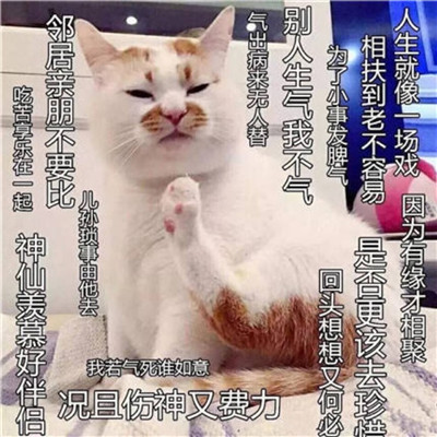 德兴商务伴游花艺师肖济婵