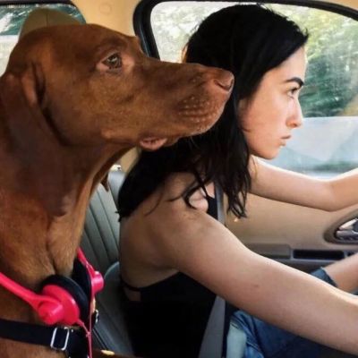 天水私人导游售楼MM简琴瑾 天水私人导游售楼MM简琴瑾