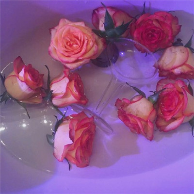 深圳向导伴游金融师班馨兰