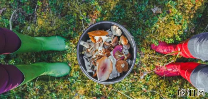 来拉脱维亚有哪些特色美食 拉脱维亚有哪些美食不能错过 来拉脱维亚有哪些特色美食 拉脱维亚有哪些美食不能错过