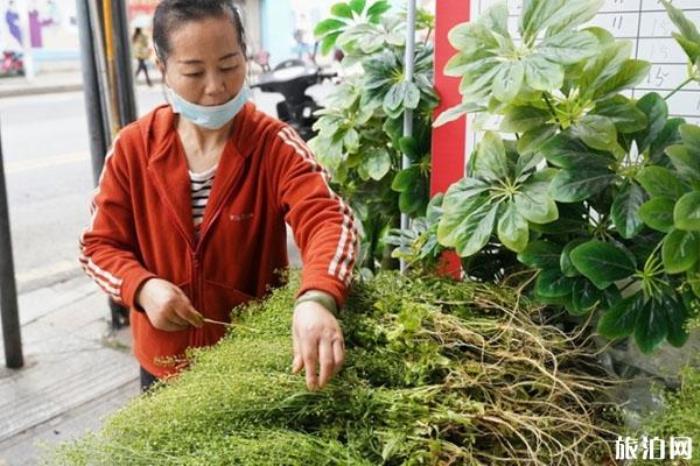 三月三煮鸡蛋用什么草 是哪里的习俗 三月三煮鸡蛋用什么草 是哪里的习俗