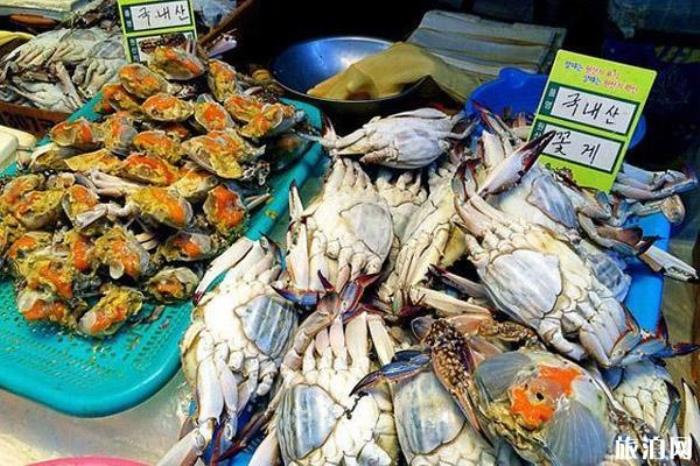 济州岛美食店推荐 济州岛美食店推荐