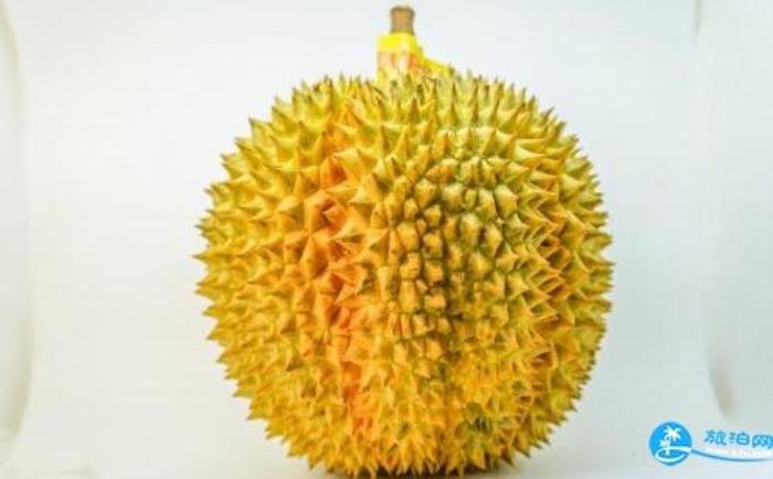 怎么挑榴莲才是肉多的 如何挑选榴莲