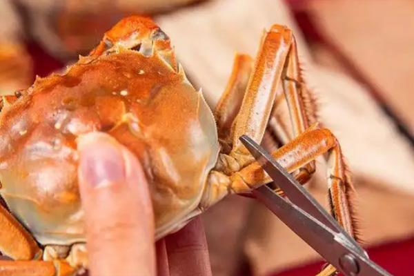 2022苏州阳澄湖大闸蟹几月份上市? 2022苏州阳澄湖大闸蟹几月份上市?