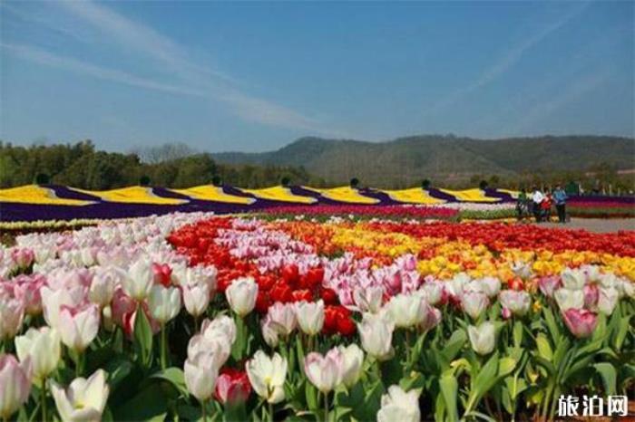 2020常州花谷奇缘春节庙会1月24日开启 时间+庙会内容 2020常州花谷奇缘春节庙会1月24日开启 时间+庙会内容