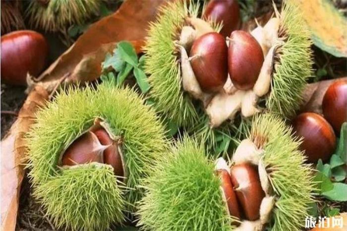 神农架美食有什么 神农架美食有什么