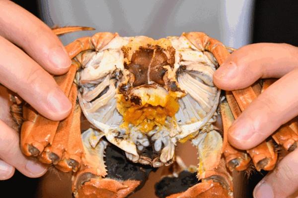 常州冬季有哪些好吃的美食推荐