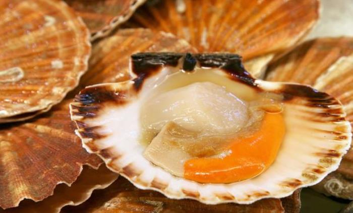 赤潮一般在几月份 赤潮海鲜为什么不能吃