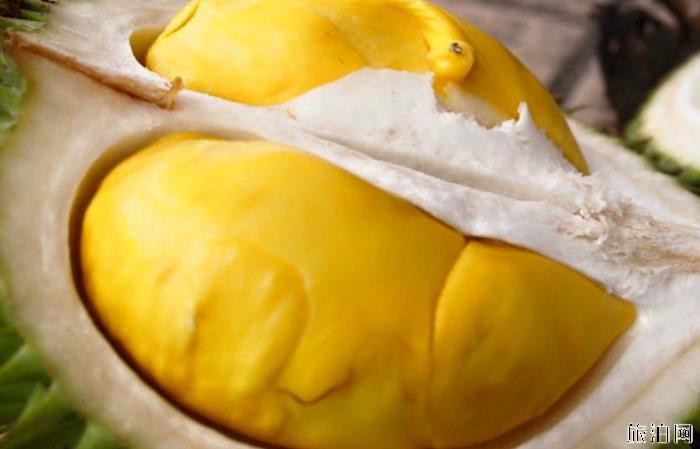 吉隆坡榴莲街在哪里 吉隆坡吃榴莲SS2区介绍 吉隆坡榴莲街在哪里 吉隆坡吃榴莲SS2区介绍