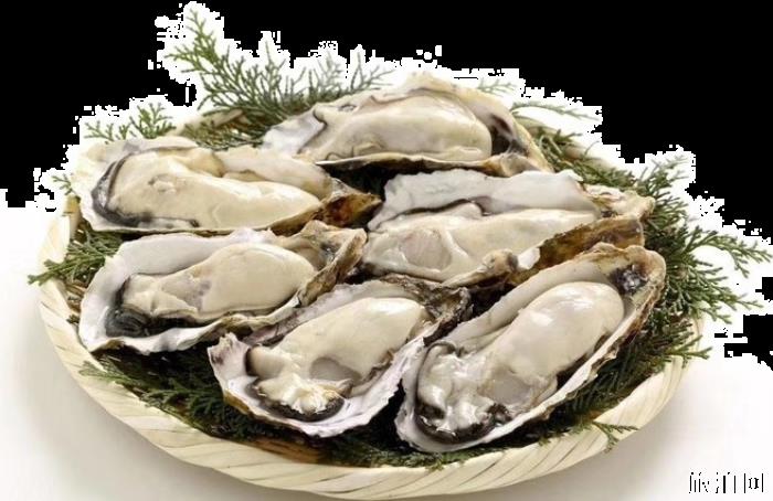 威海这个季节吃什么海鲜 威海海鲜季节表 威海这个季节吃什么海鲜 威海海鲜季节表